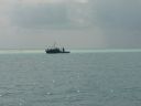DSC00242.JPG