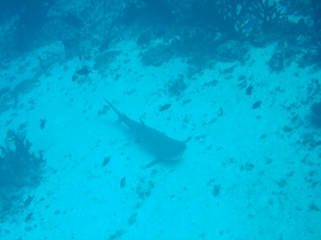 DSC00056.JPG