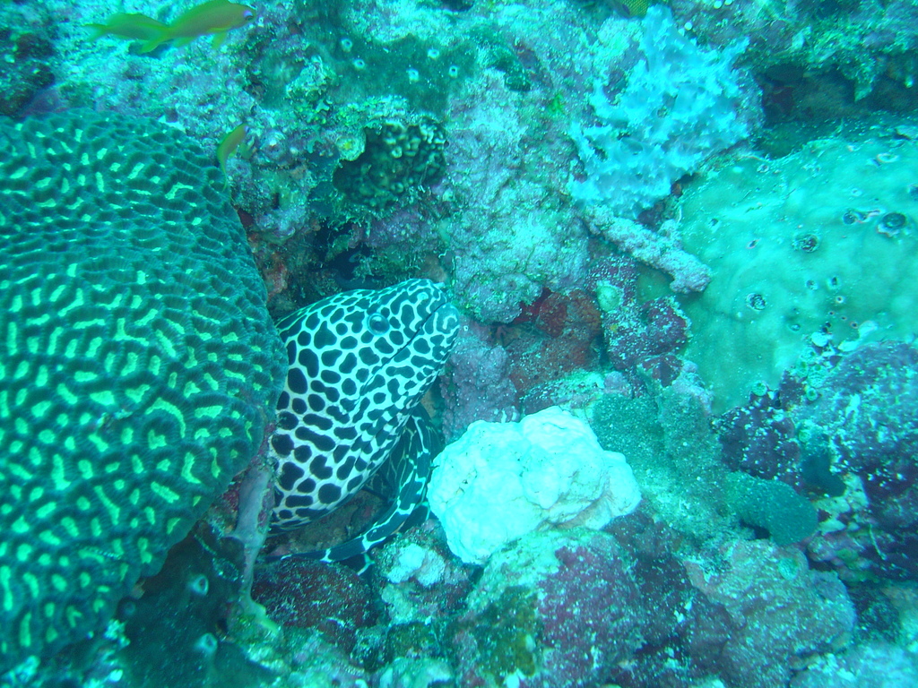 DSC00069.JPG