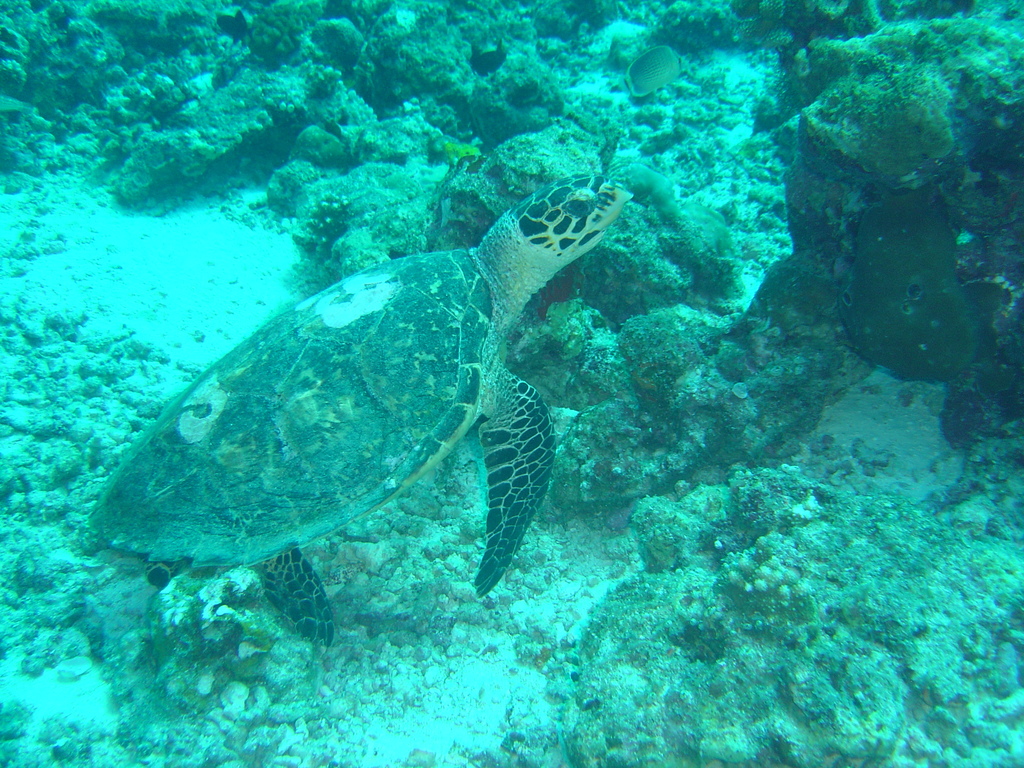 DSC00074.JPG