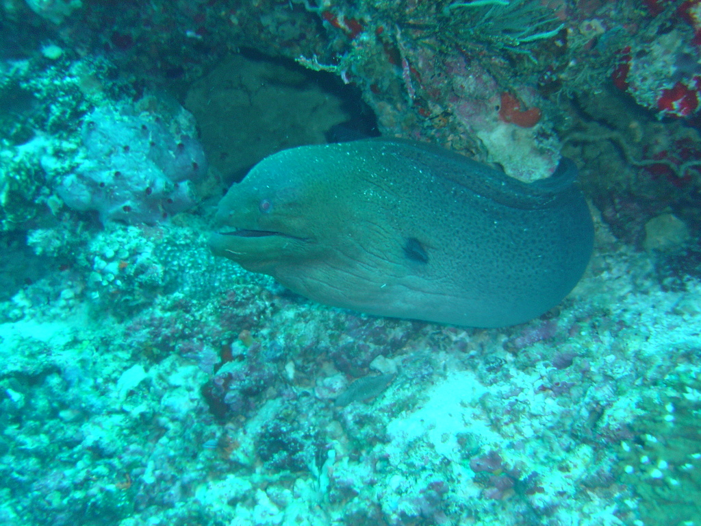 DSC00077.JPG