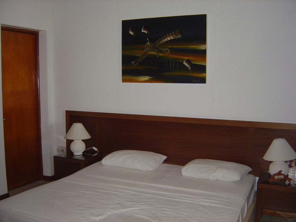 DSC00080.JPG