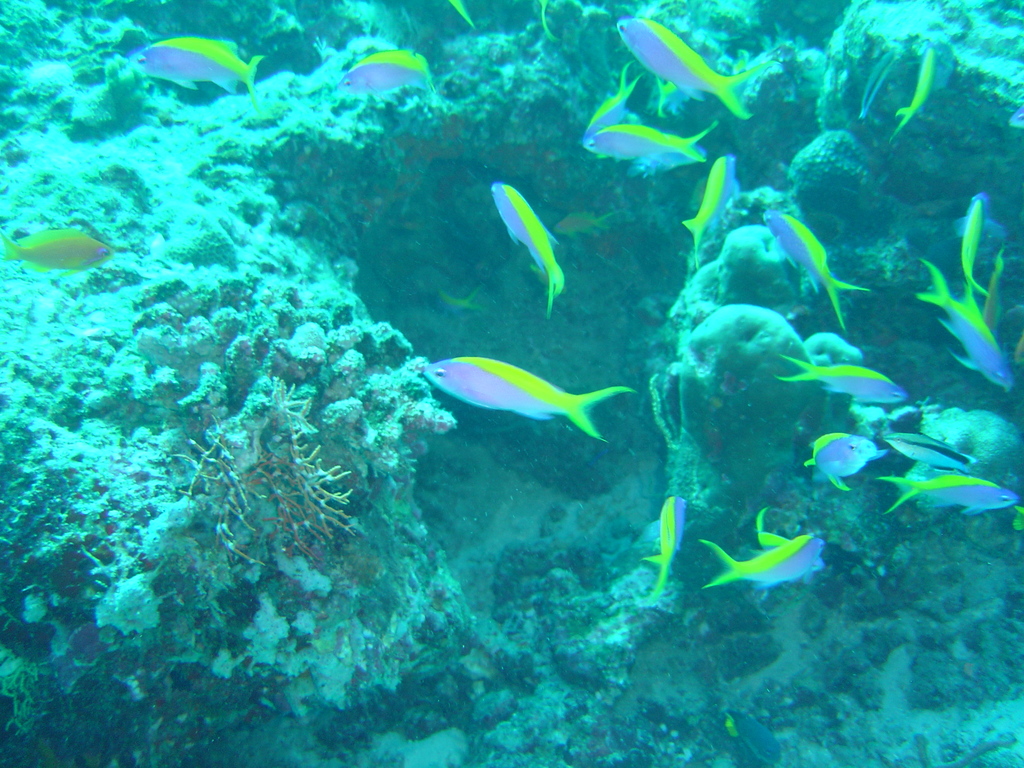 DSC00094.JPG