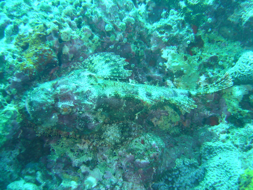 DSC00095.JPG