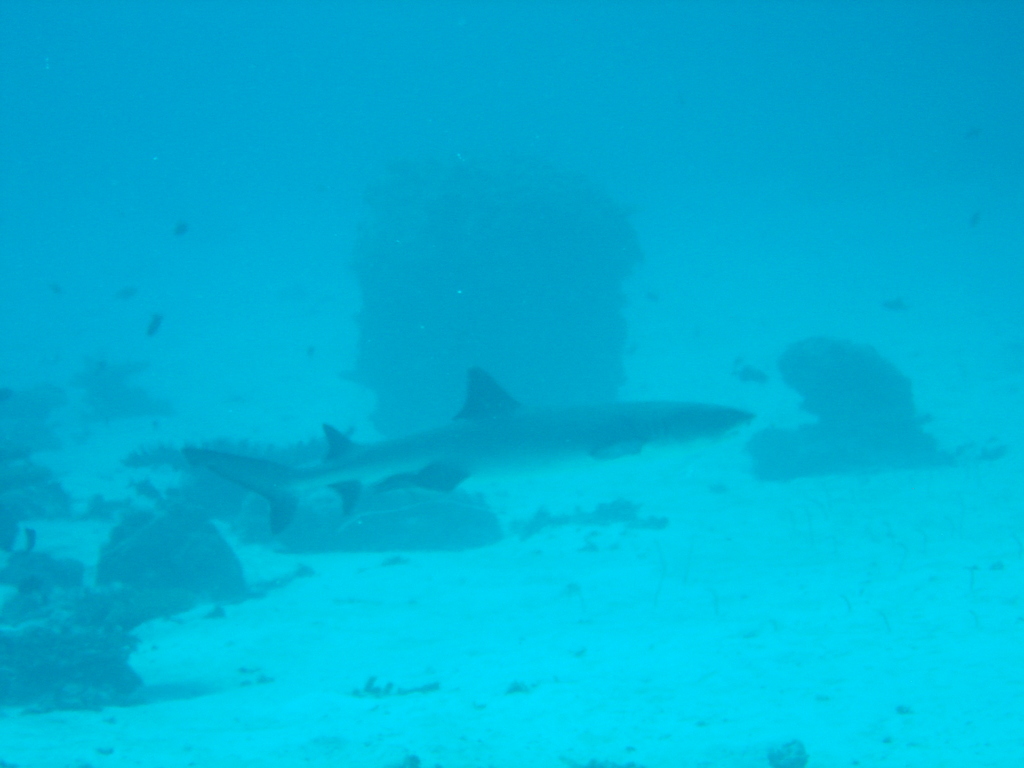 DSC00096.JPG