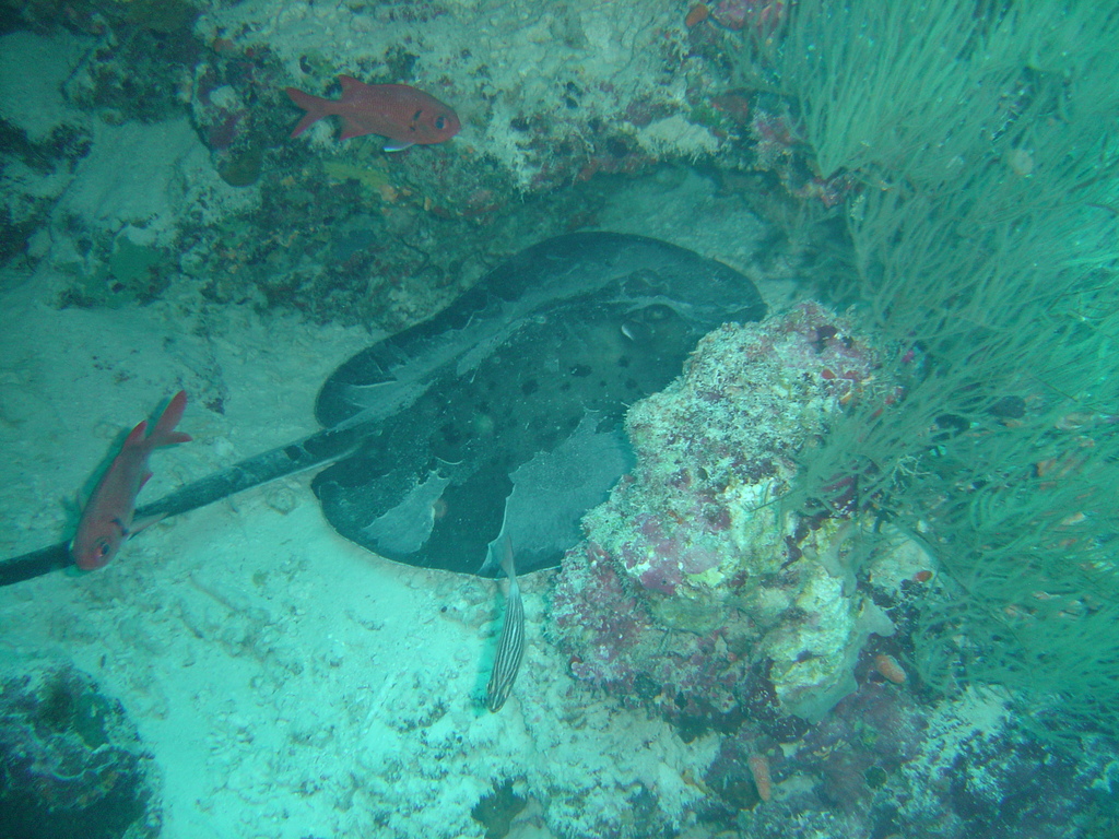 DSC00101.JPG