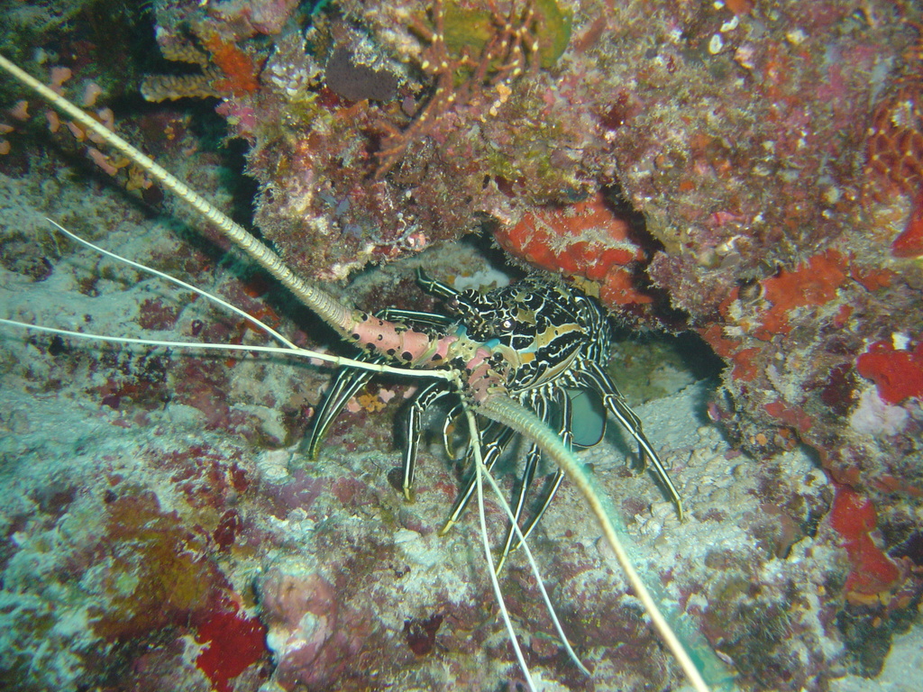 DSC00111.JPG