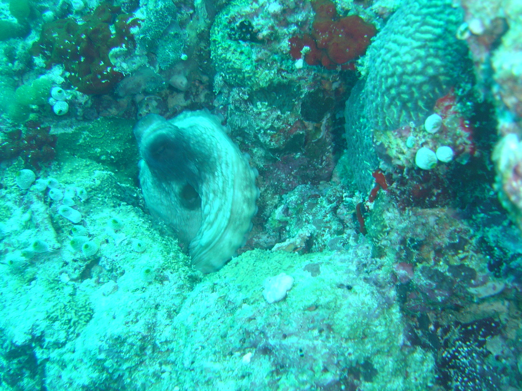 DSC00133.JPG