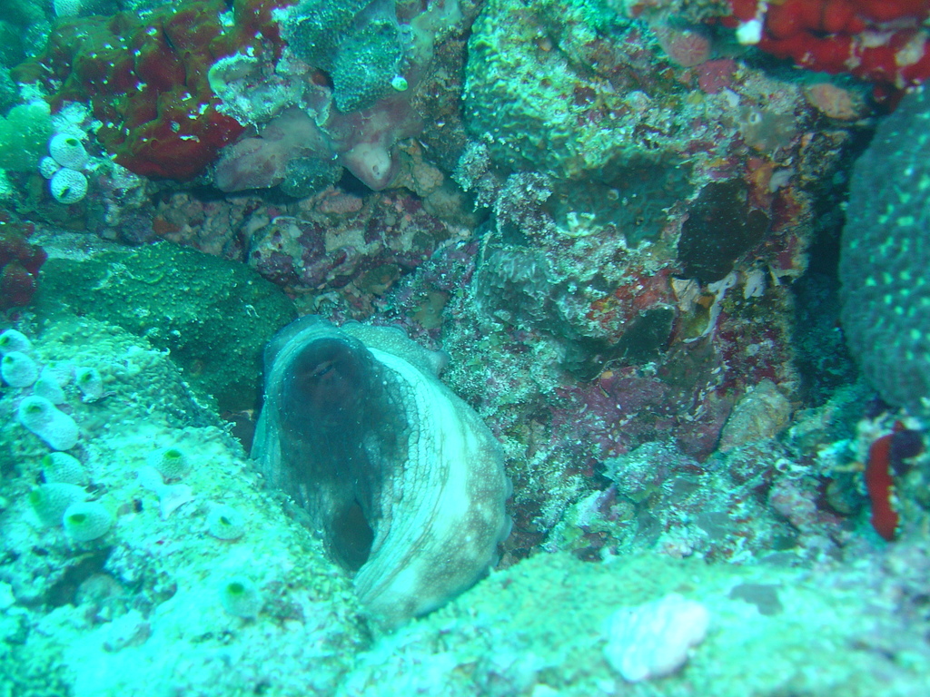 DSC00134.JPG