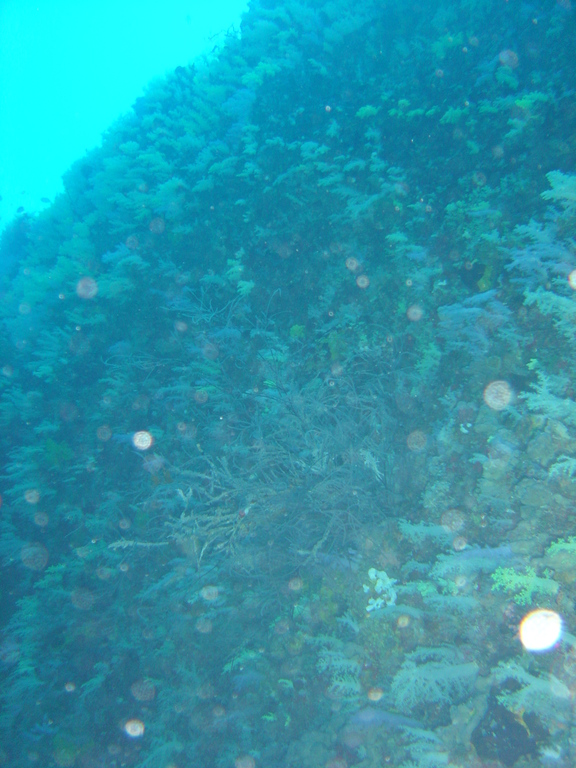 DSC00140.JPG