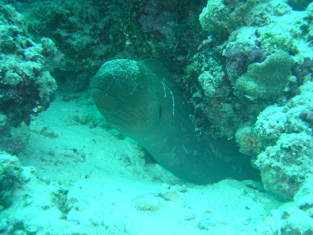 DSC00144.JPG