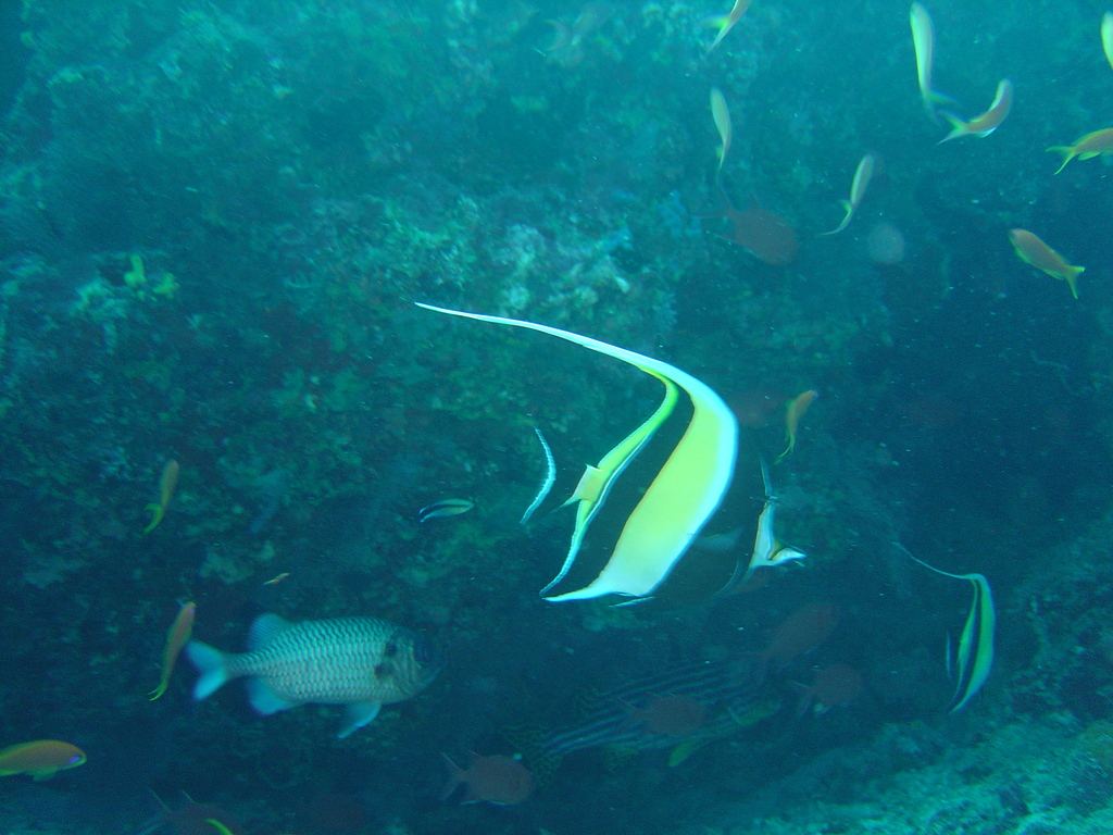 DSC00152.JPG
