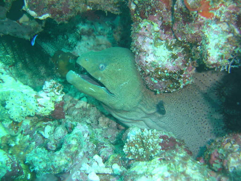 DSC00163.JPG