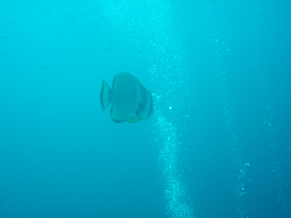 DSC00178.JPG