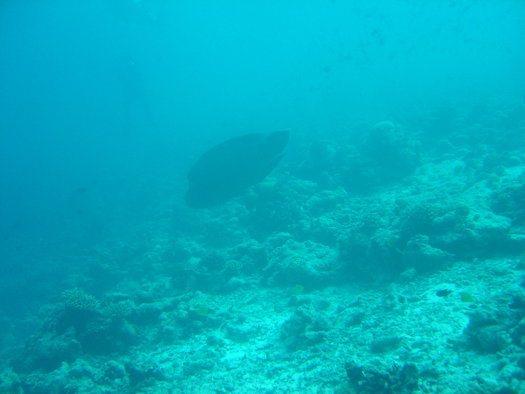 DSC00179.JPG