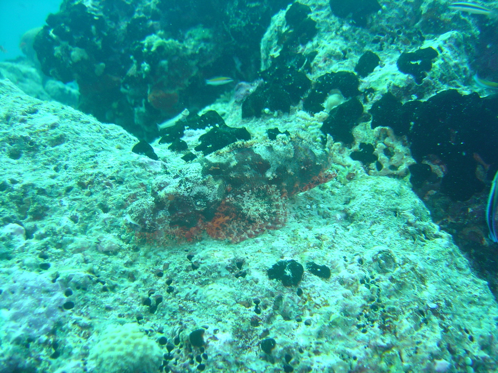 DSC00181.JPG