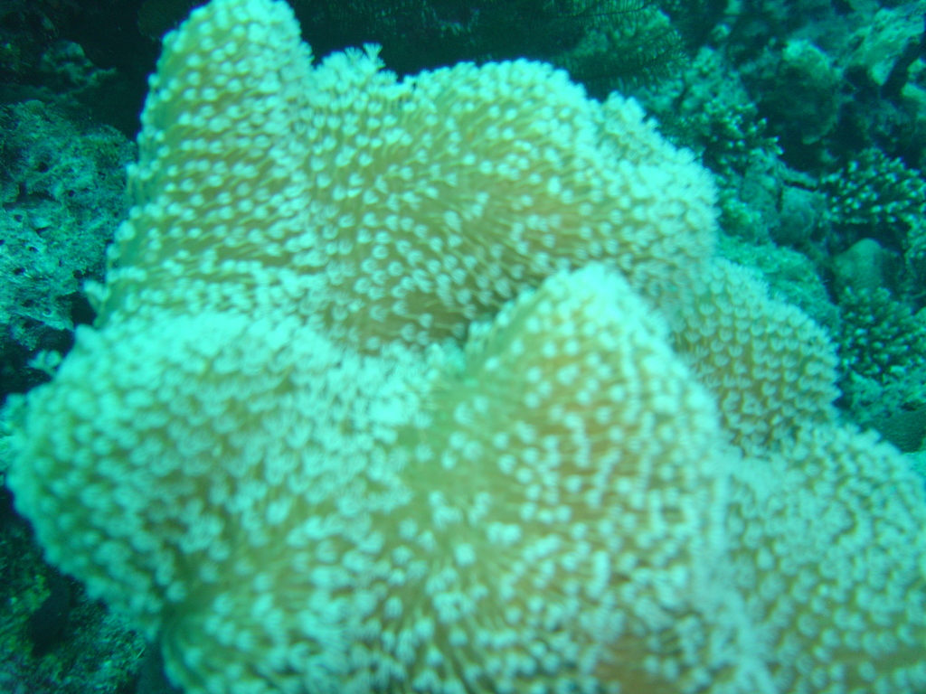 DSC00190.JPG