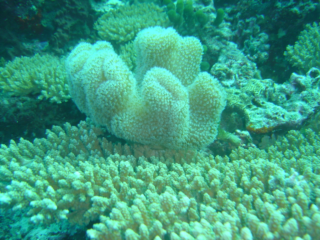 DSC00219.JPG