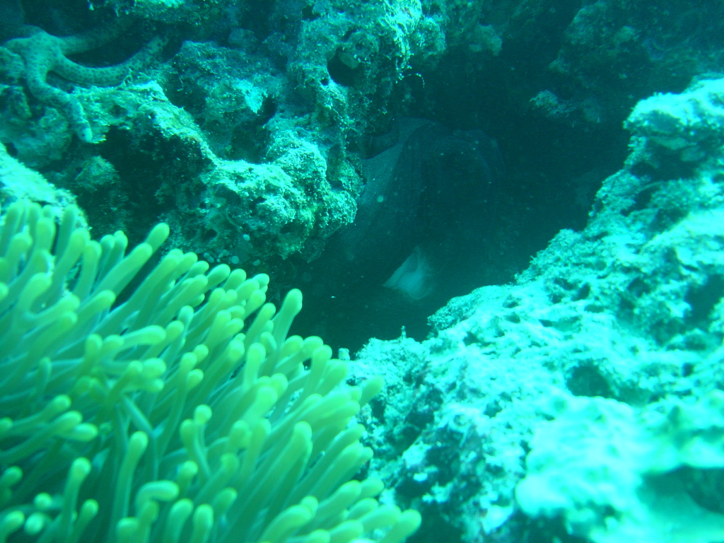 DSC00235.JPG