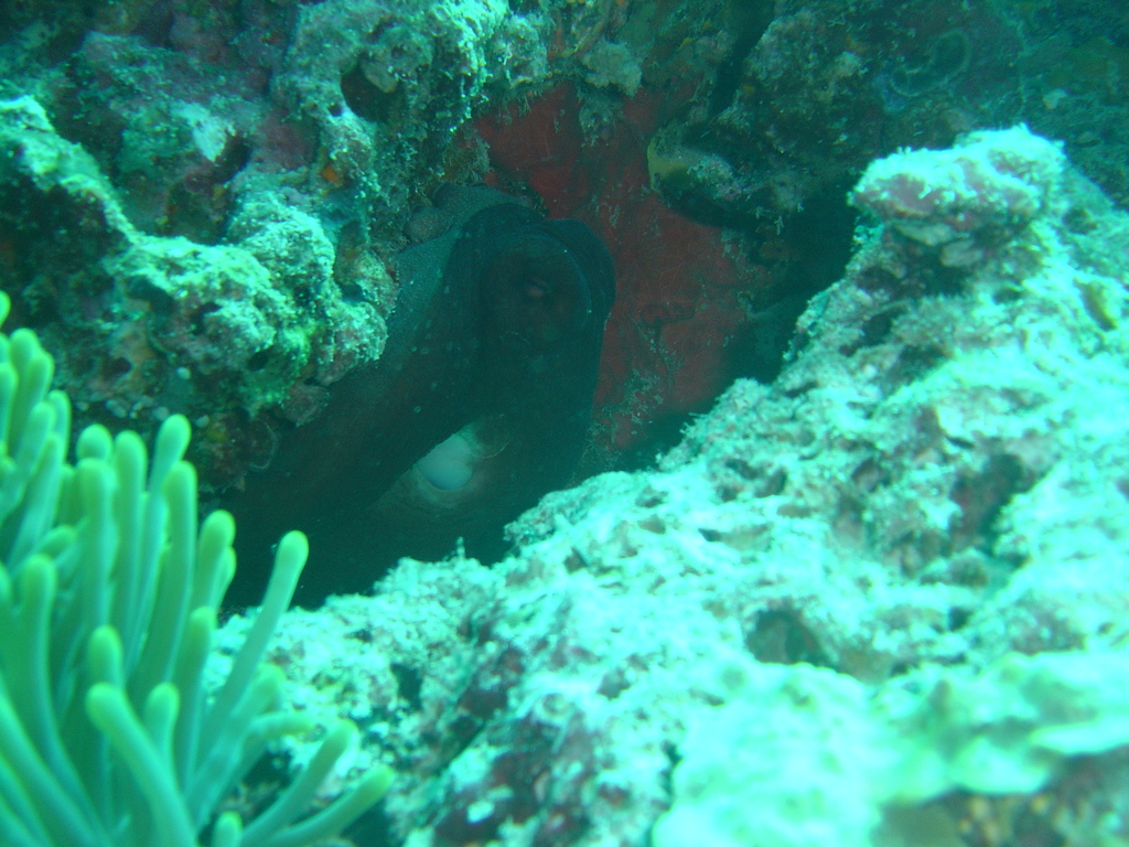 DSC00236.JPG