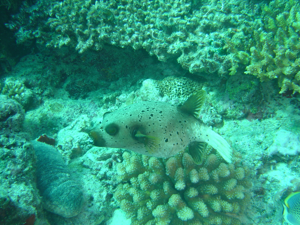 DSC00238.JPG