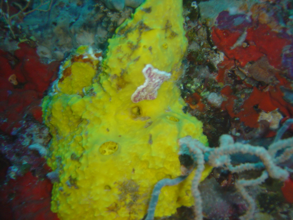 DSC00242.JPG