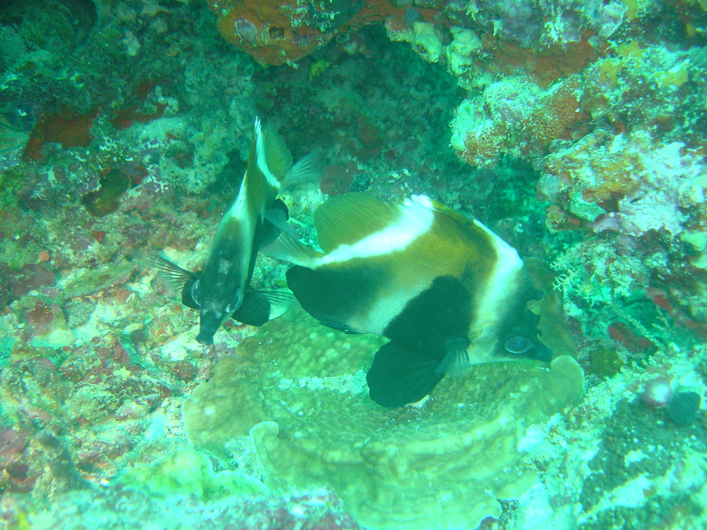 DSC00273.JPG