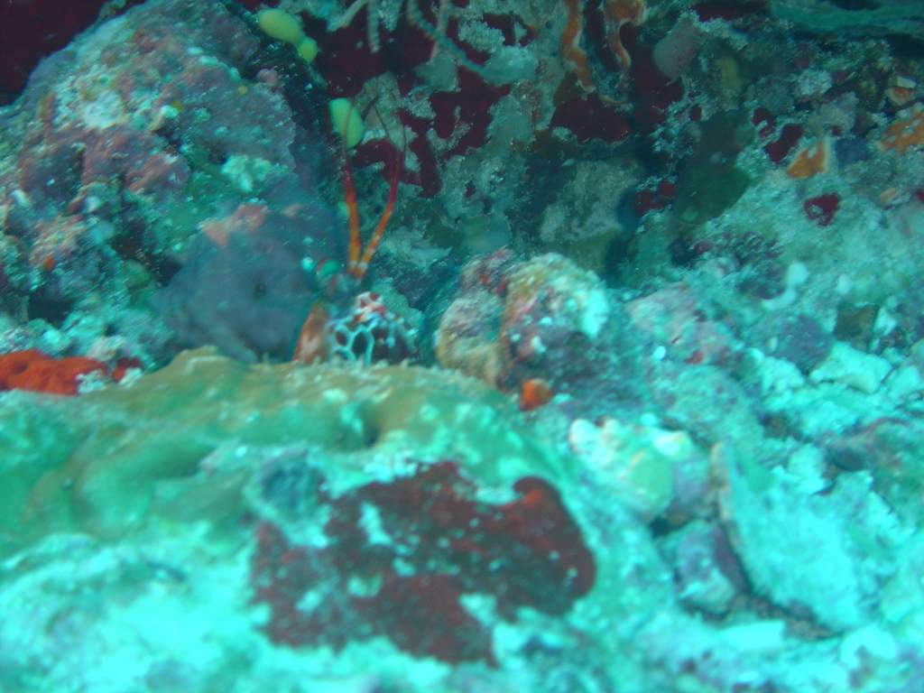 DSC00276.JPG