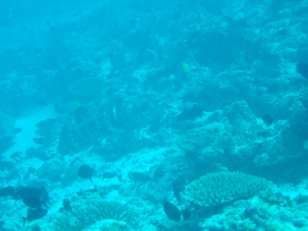 DSC00300.JPG