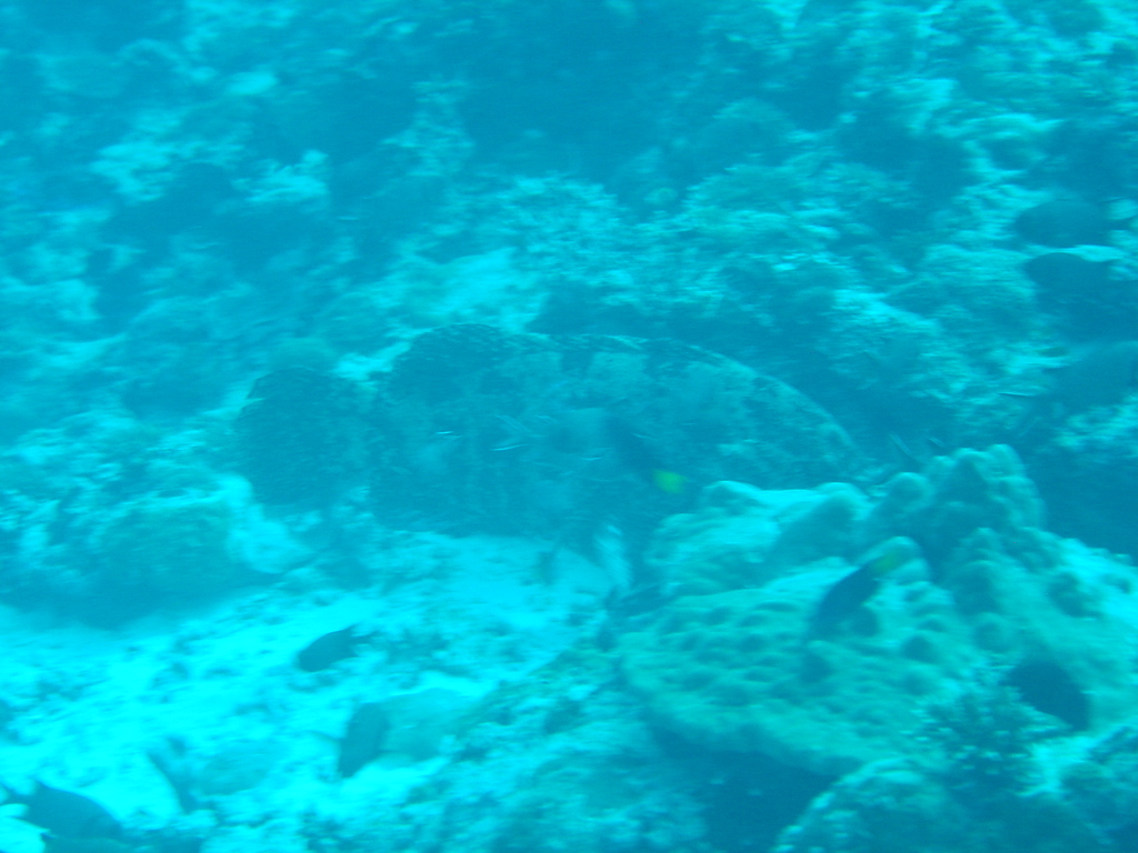 DSC00302.JPG