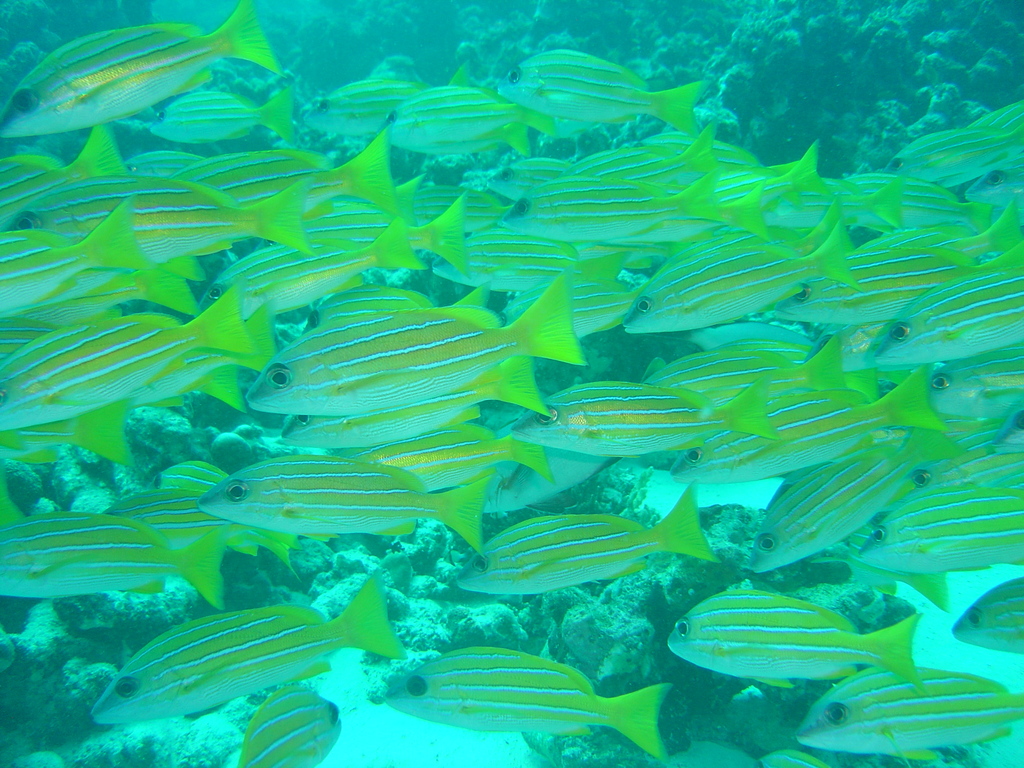 DSC00304.JPG
