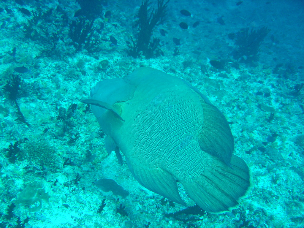 DSC00310.JPG