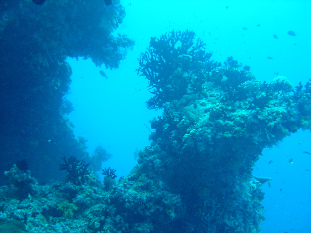 DSC00315.JPG