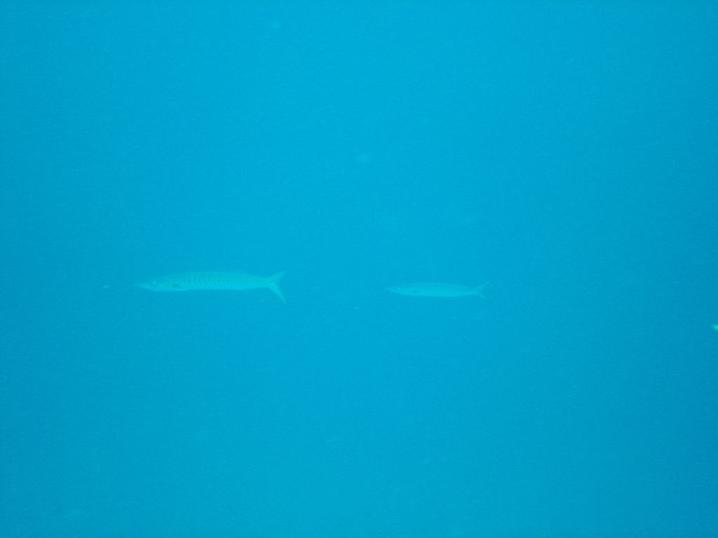 DSC00321.JPG