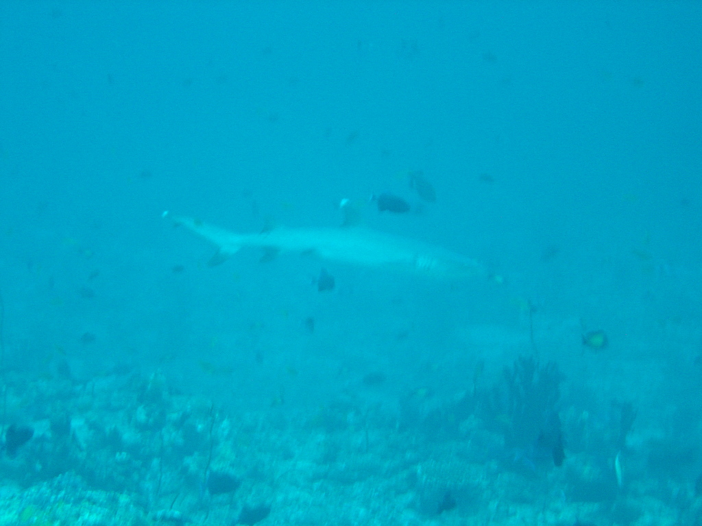 DSC00333.JPG