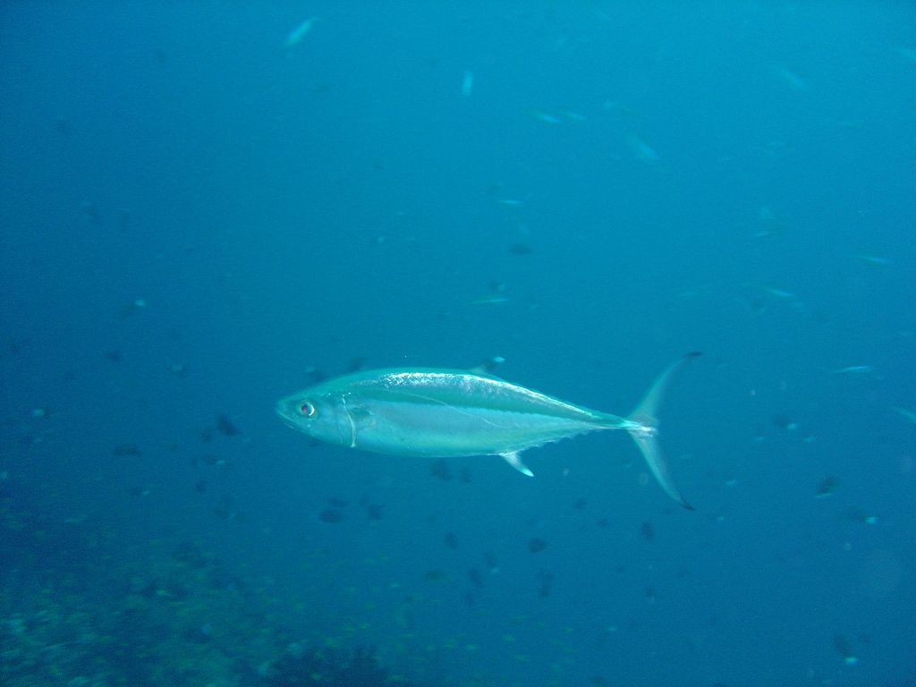DSC00336.JPG