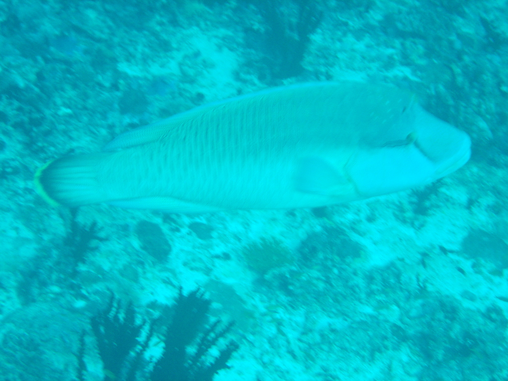 DSC00348.JPG