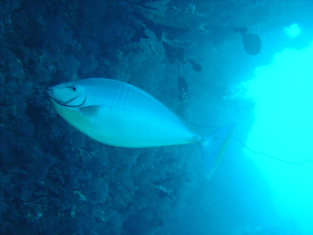 DSC00354.JPG