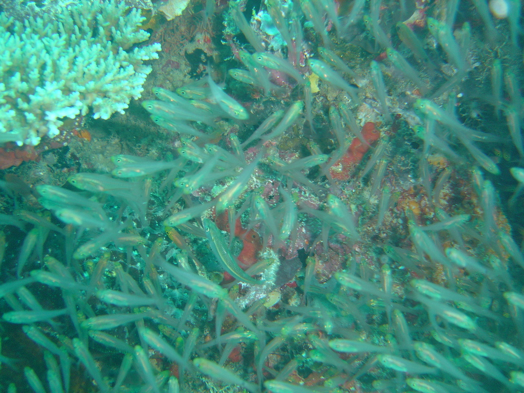 DSC00380.JPG