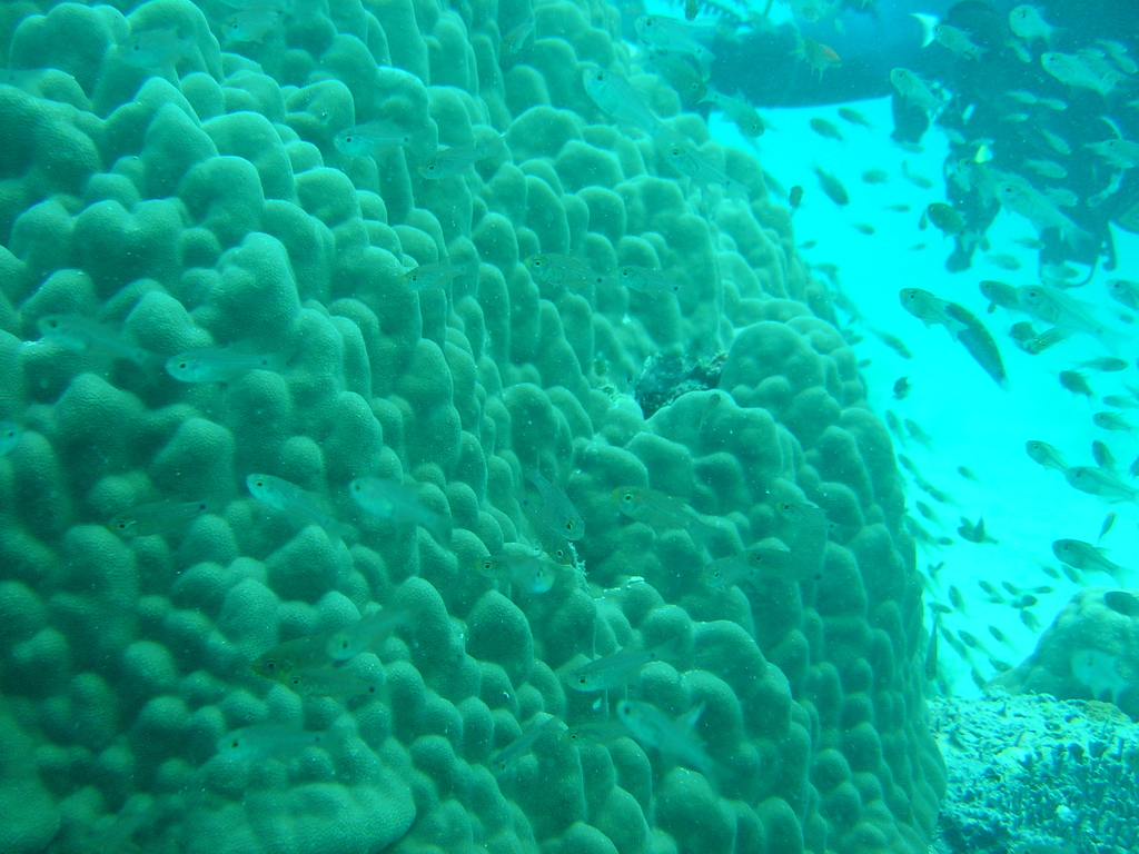 DSC00381.JPG