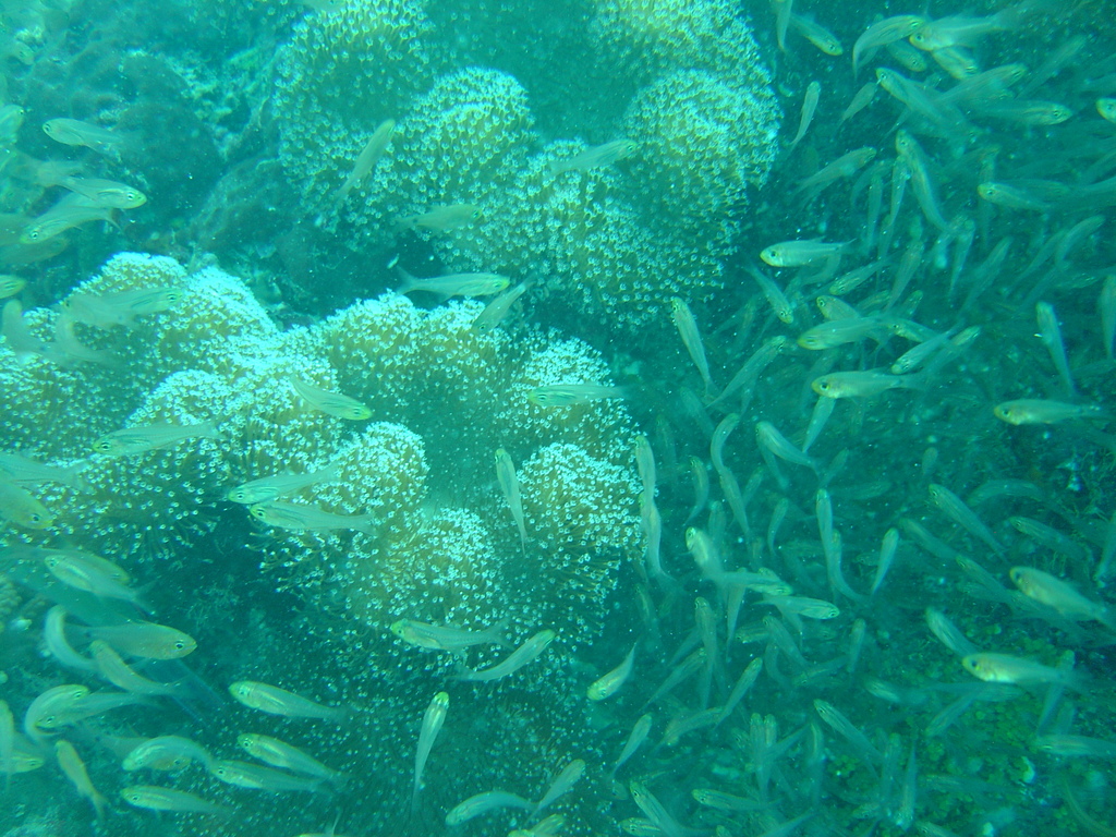 DSC00382.JPG