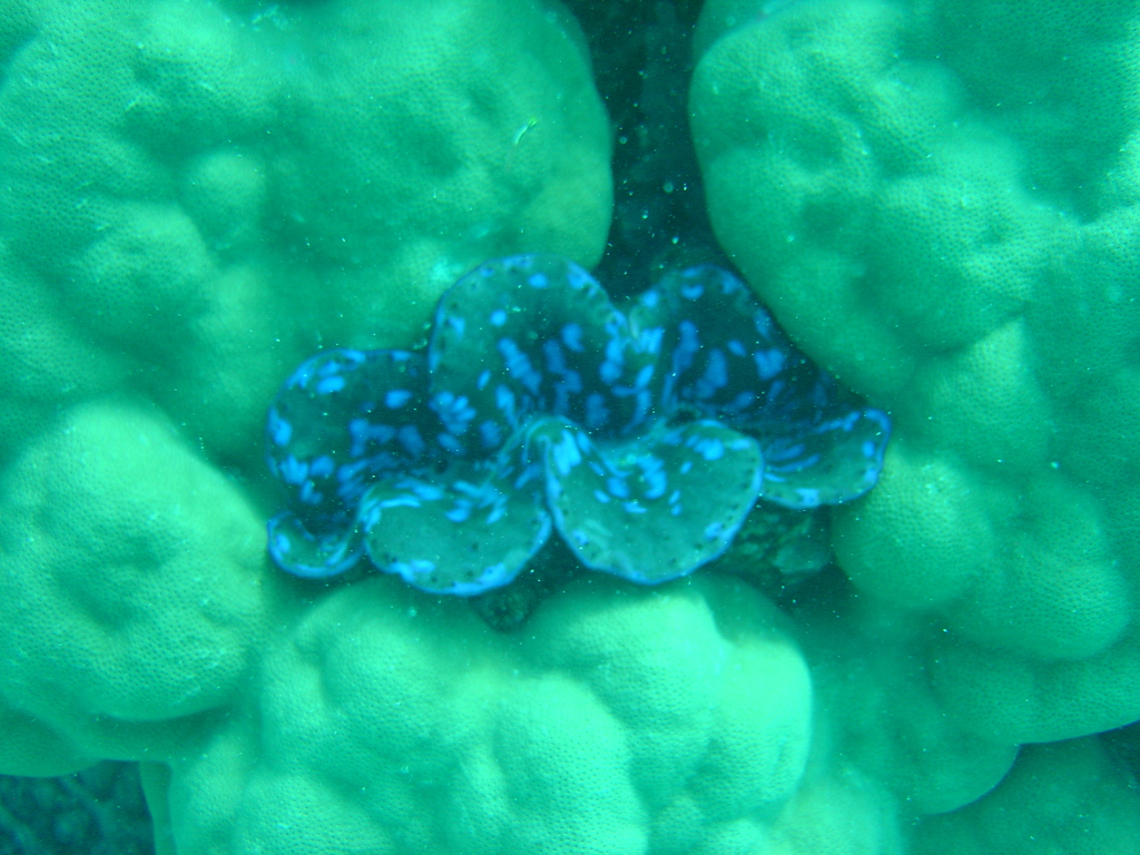 DSC00383.JPG