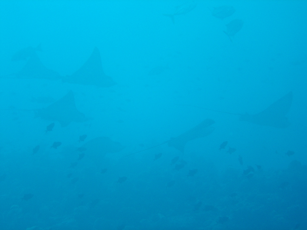 DSC00385.JPG