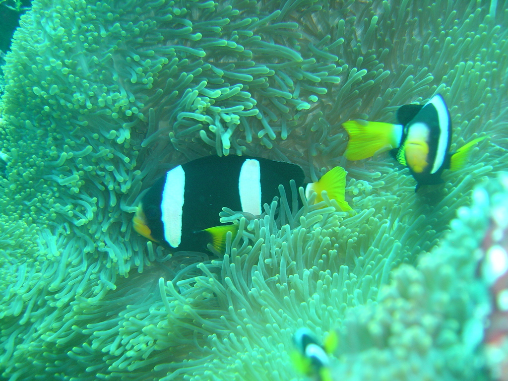 DSC00401.JPG