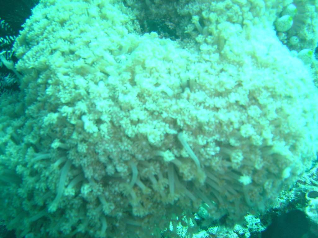 DSC00402.JPG