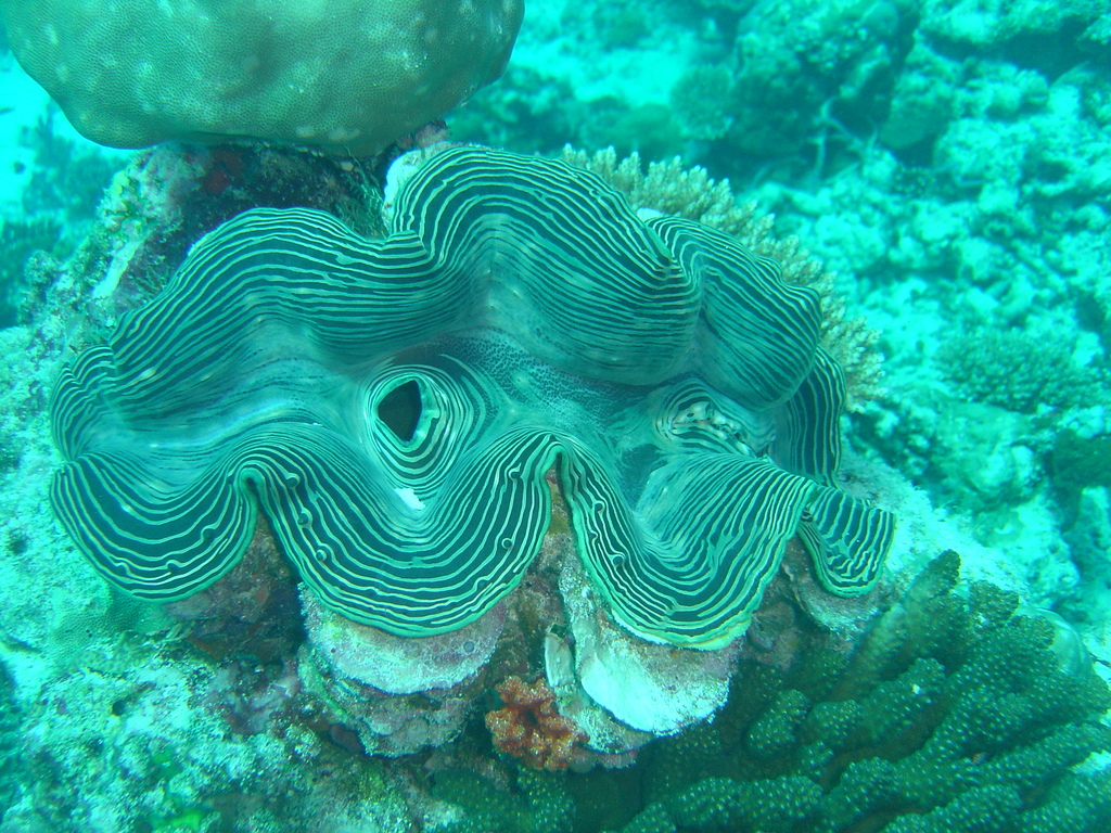 DSC00404.JPG