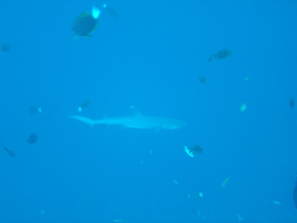DSC00407.JPG