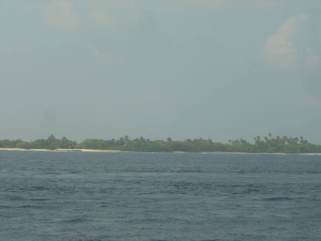 DSC00415.JPG