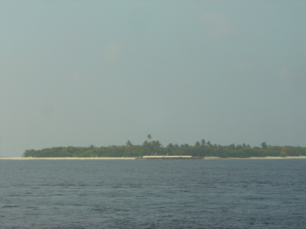 DSC00416.JPG