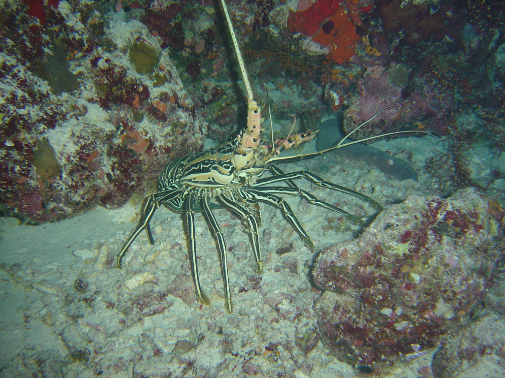 DSC00435.JPG